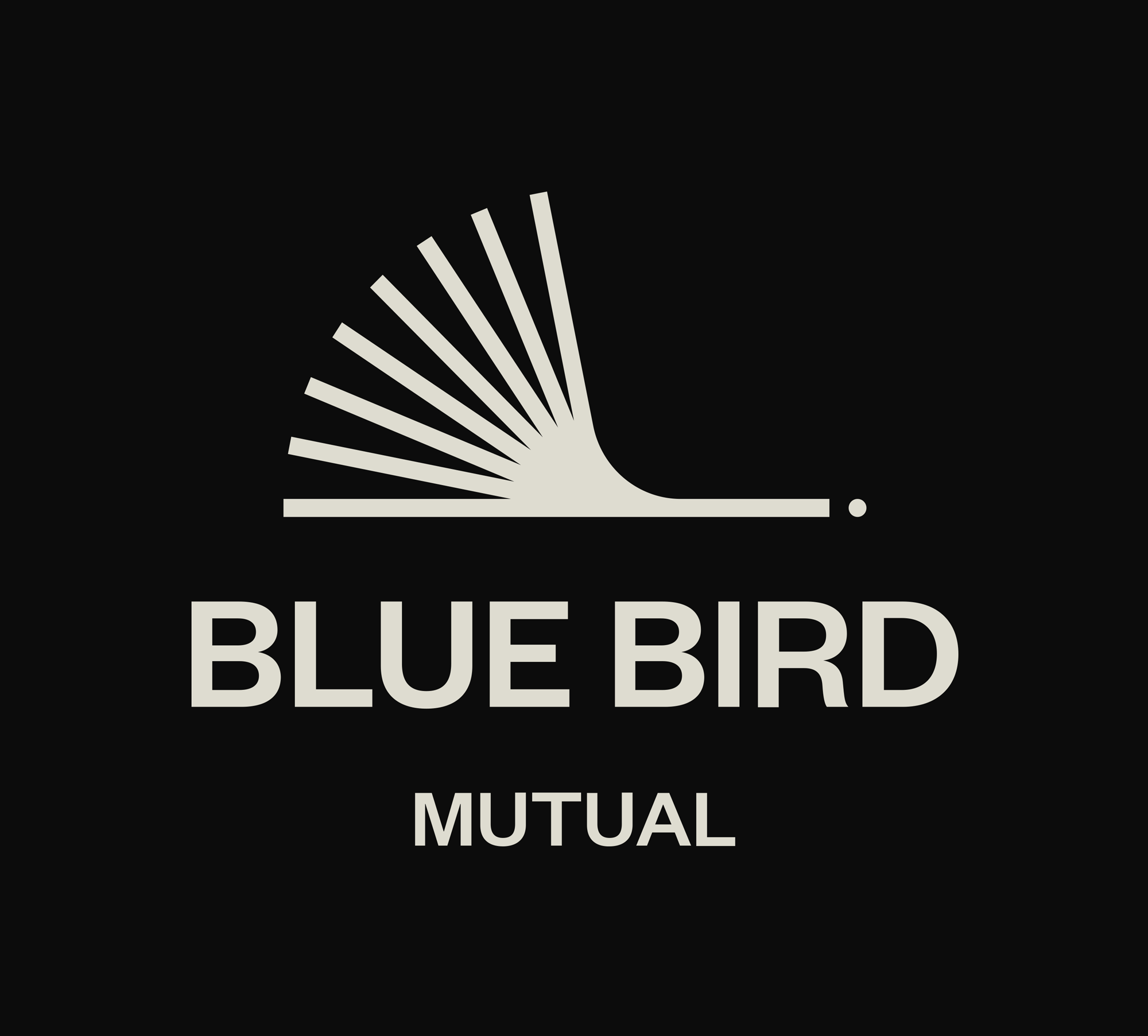 New Logo and Identity for Blue Bird Mutual by Studio Chong