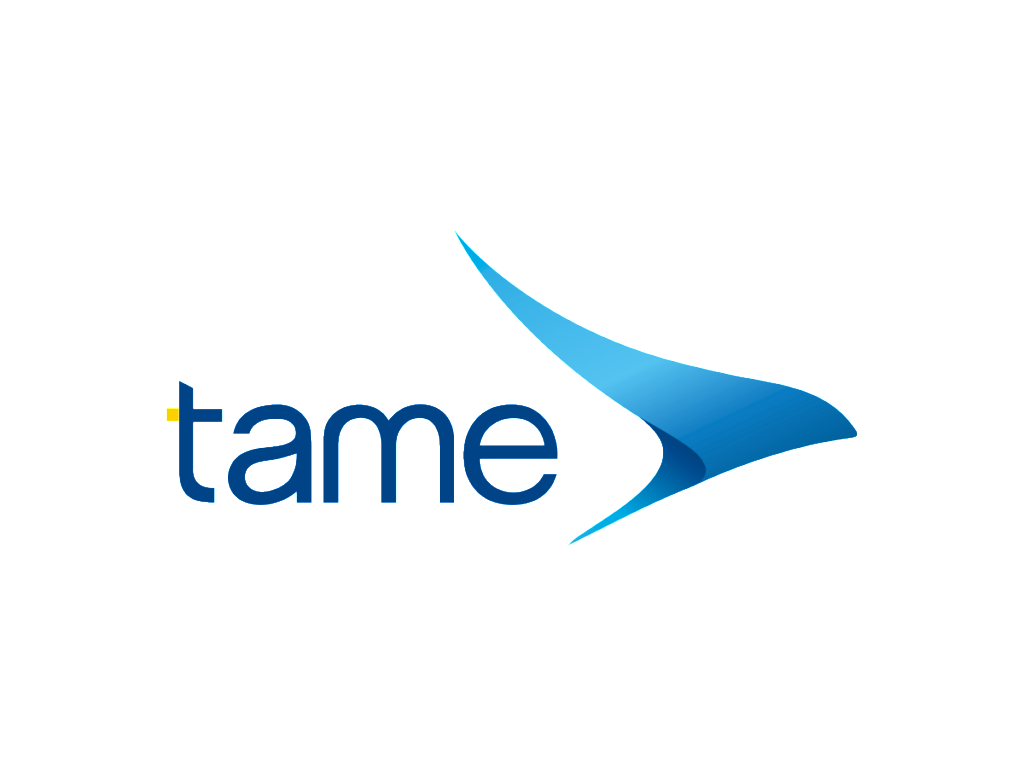 TAME标志logo设计图片,驯服商标设计高清大图