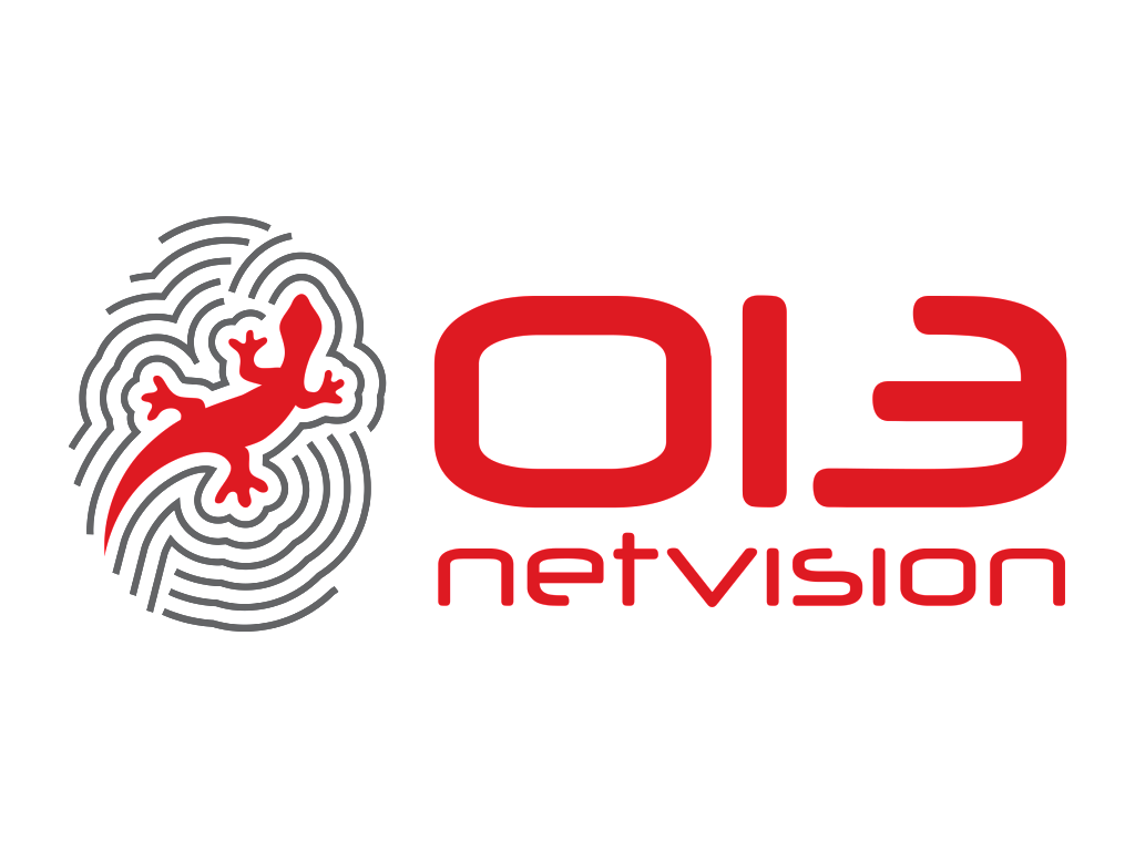 Netvision标志logo设计图片,网视商标设计高清大图