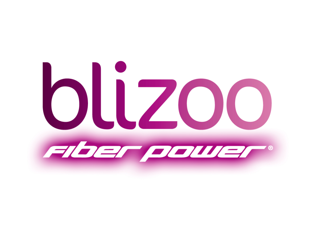 blizoo标志logo设计图片,布利祖商标设计高清大图