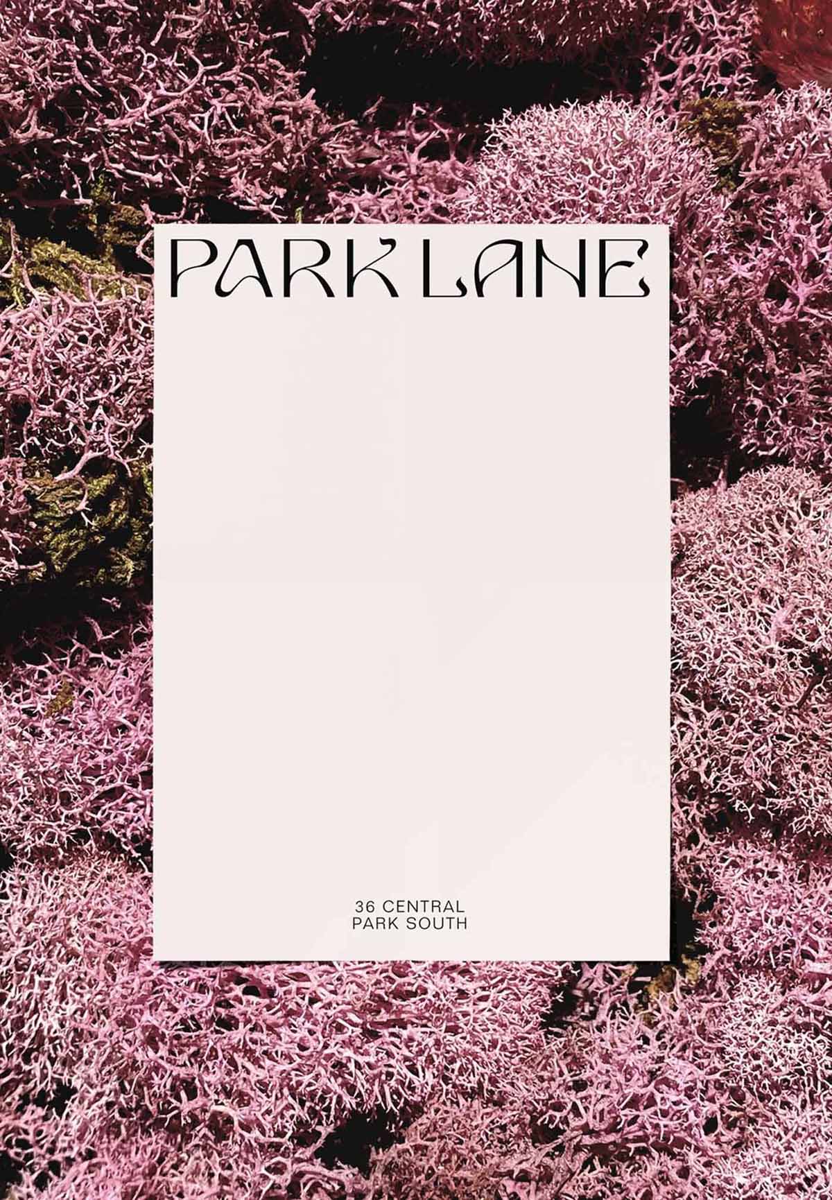 Mother Design — Park Lane