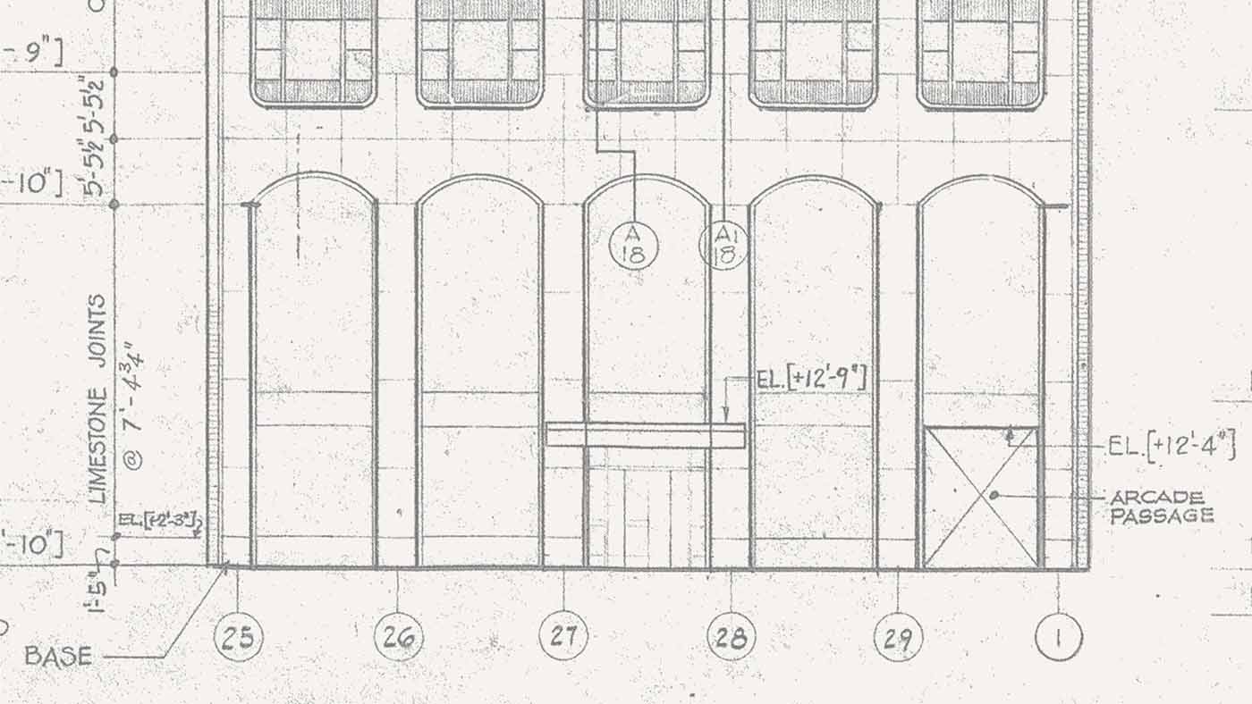 Mother Design — Park Lane