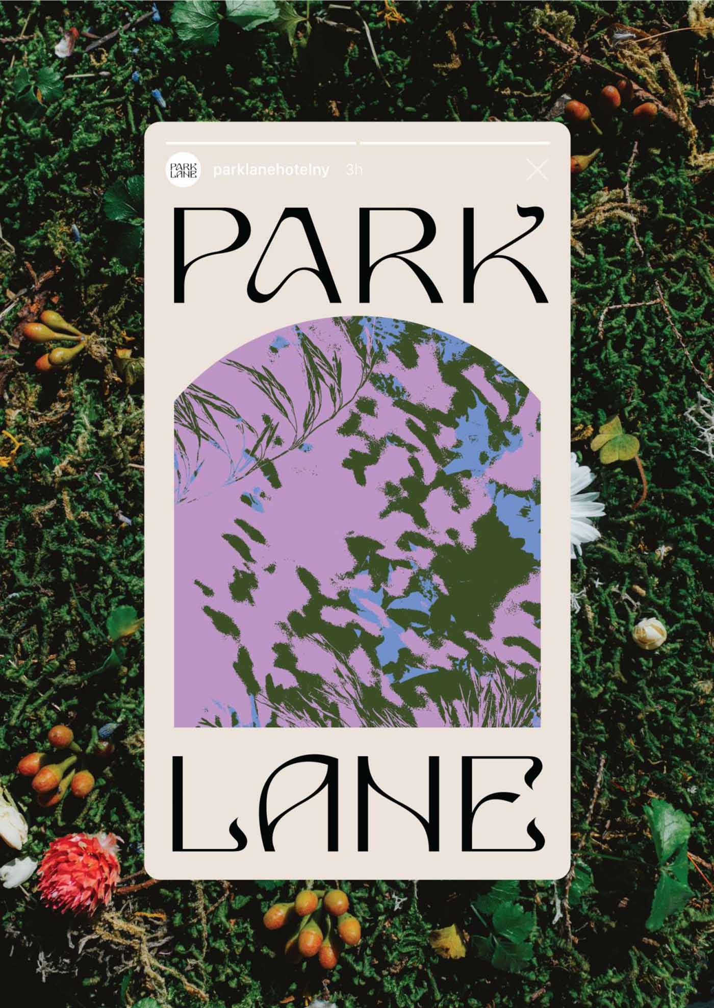 Mother Design — Park Lane