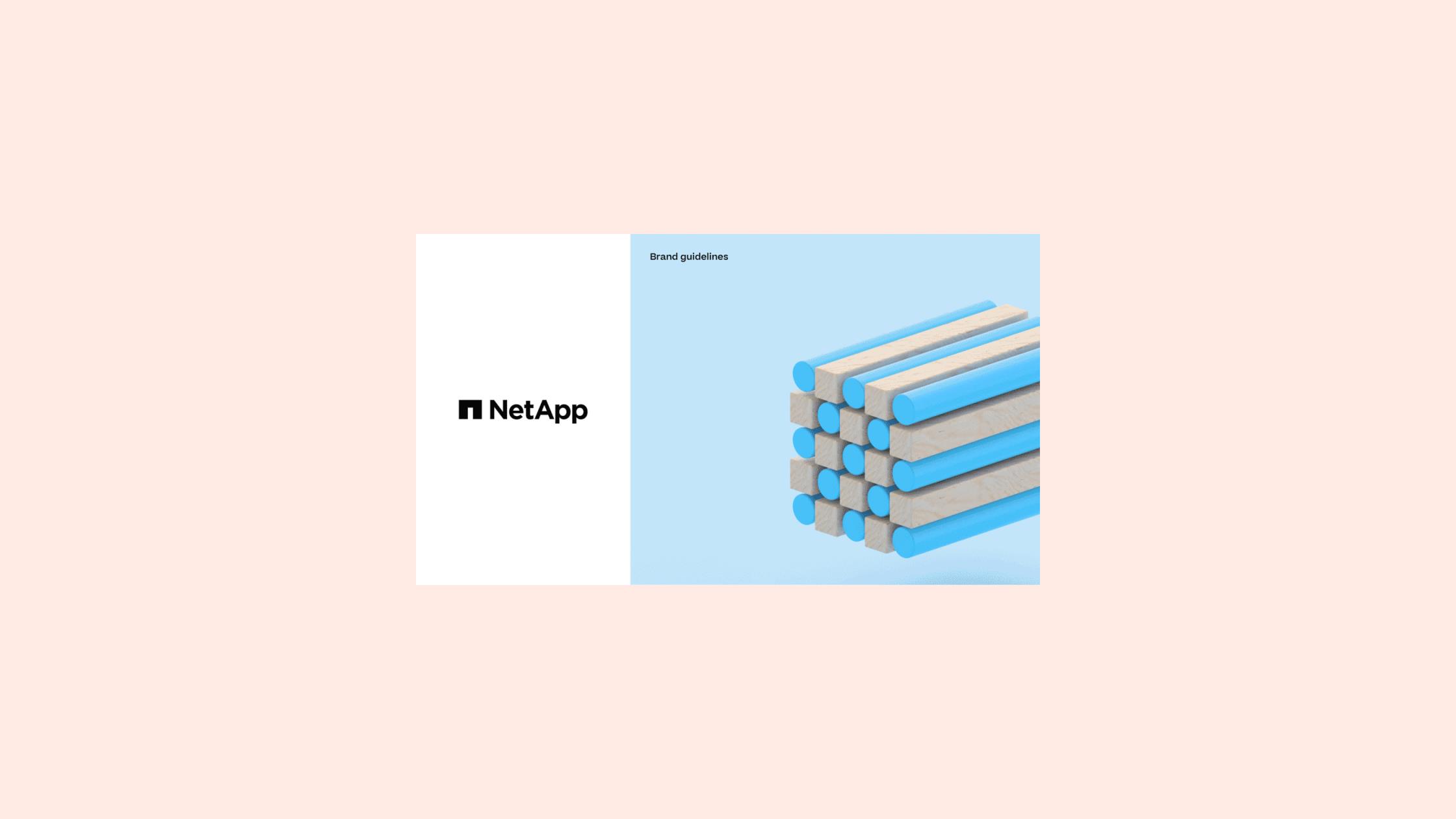 Mother Design — NetApp