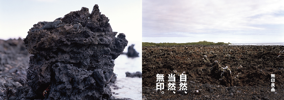 MUJI GALAPAGOS | WORKS | HARA DESIGN INSTITUTE