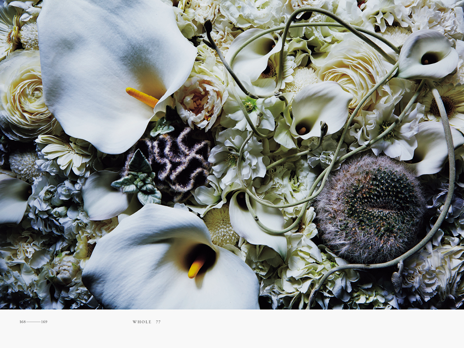 ENCYCLOPEDIA OF FLOWERS II | WORKS | HARA DESIGN INSTITUTE