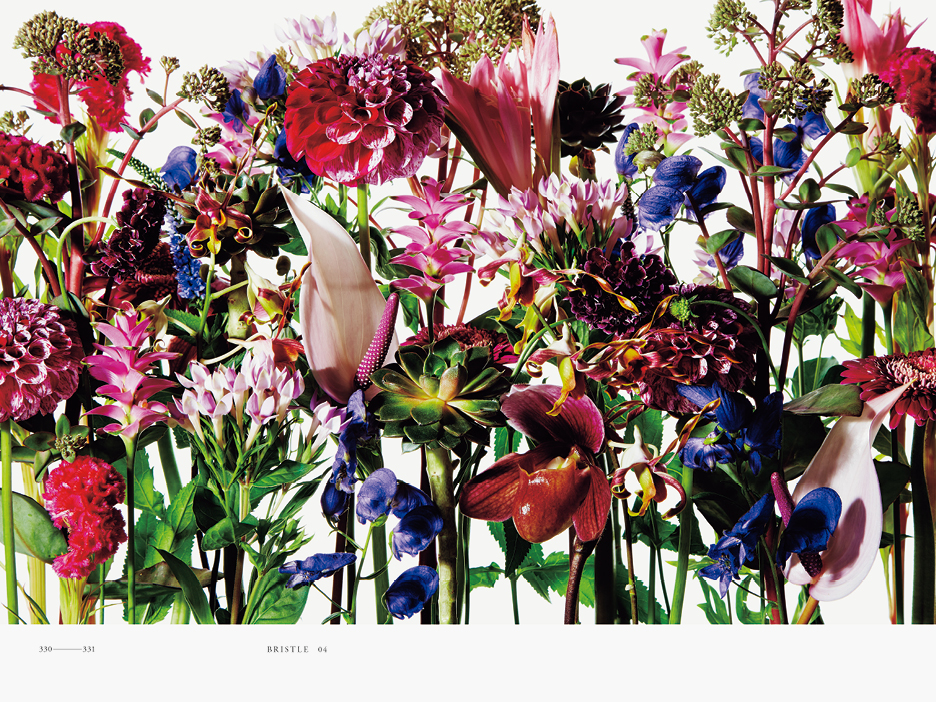 ENCYCLOPEDIA OF FLOWERS II | WORKS | HARA DESIGN INSTITUTE