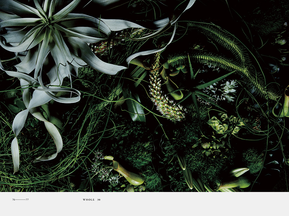 ENCYCLOPEDIA OF FLOWERS | WORKS | HARA DESIGN INSTITUTE