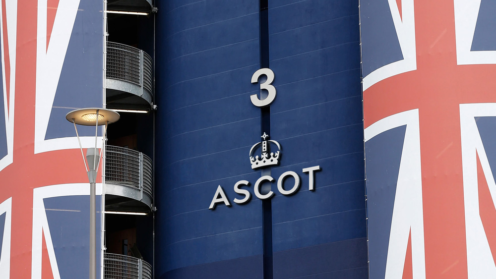 New Logo and Identity for Ascot by The Clearing