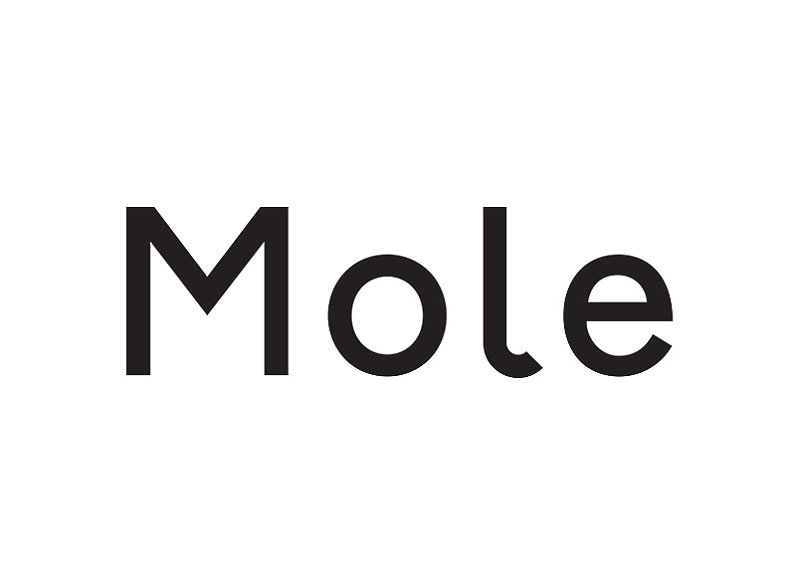 Mole Architects 