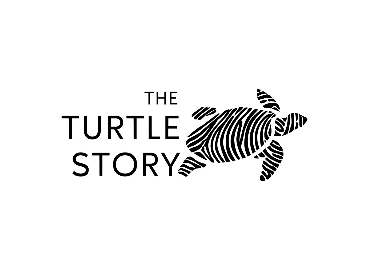 The Turtle Story 