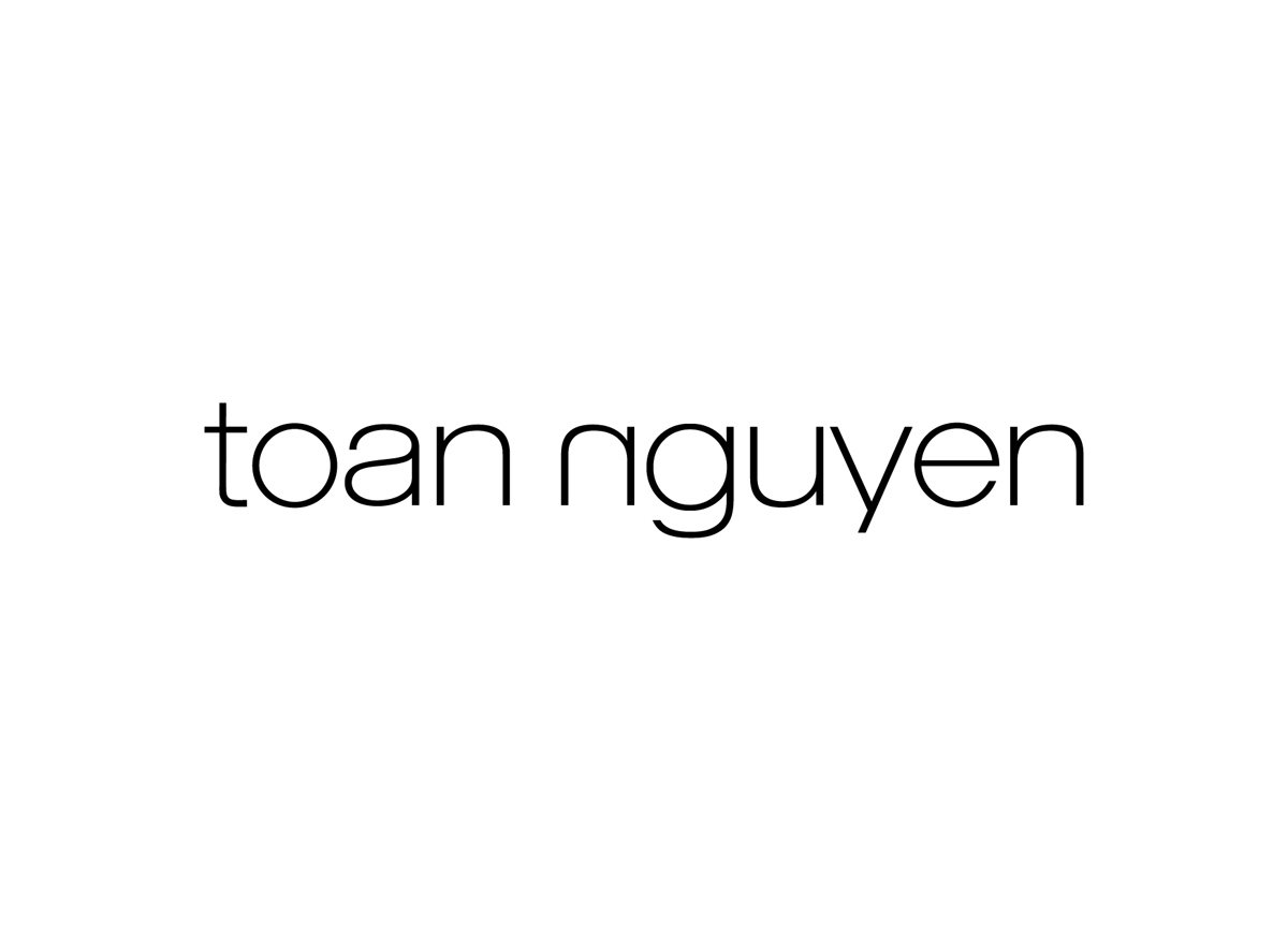 Toan Nguyen 