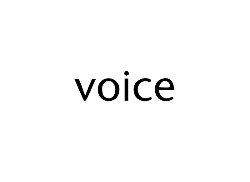 Voice 