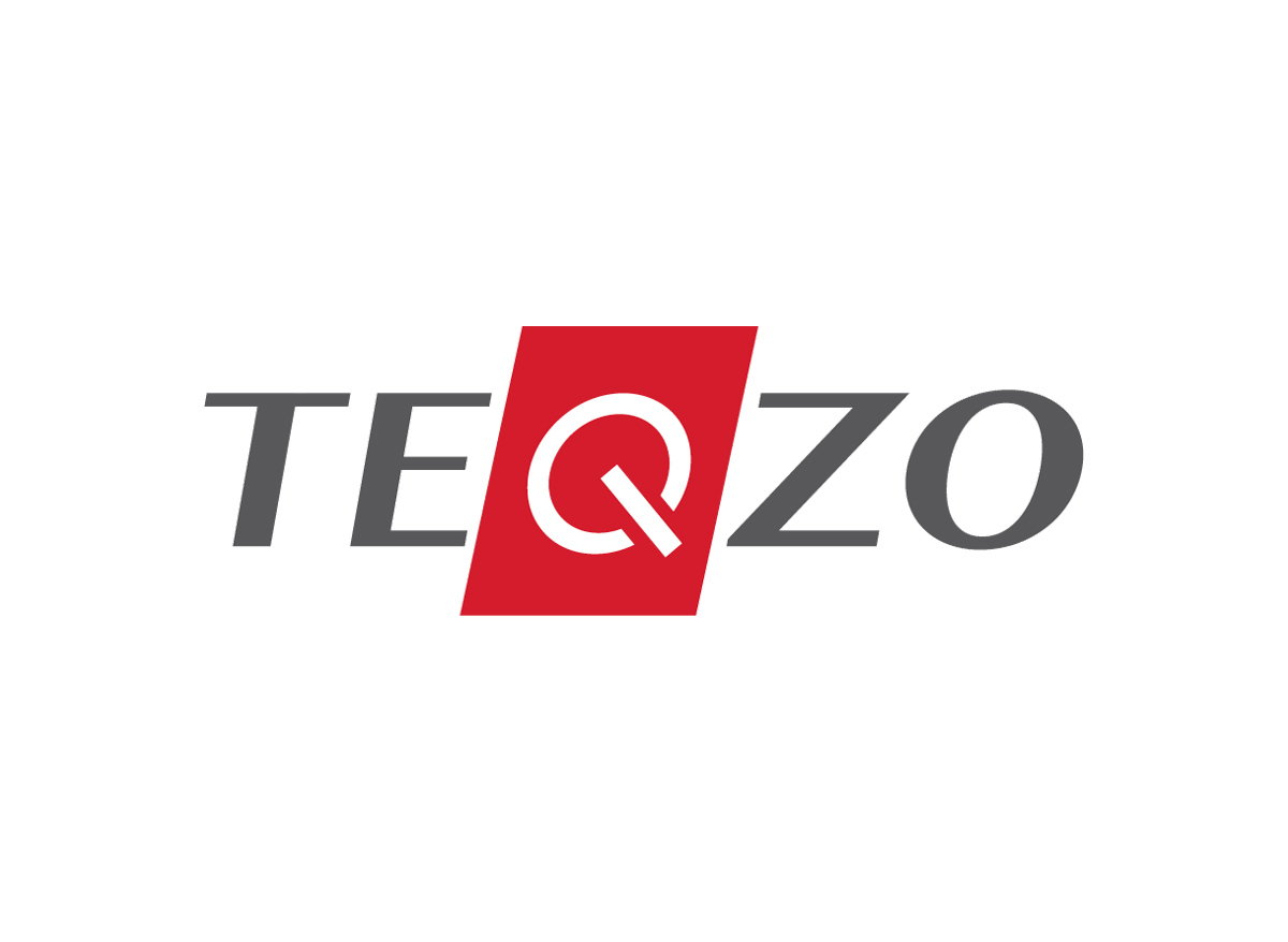 Teqzo Consulting 