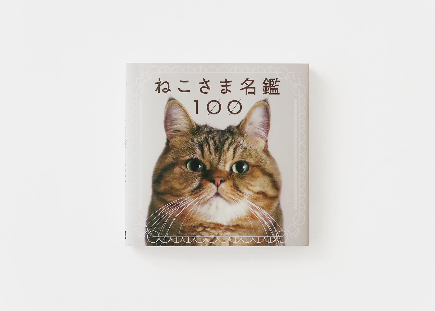 Hiroko Sakai：可爱猫咪写真集图册设计