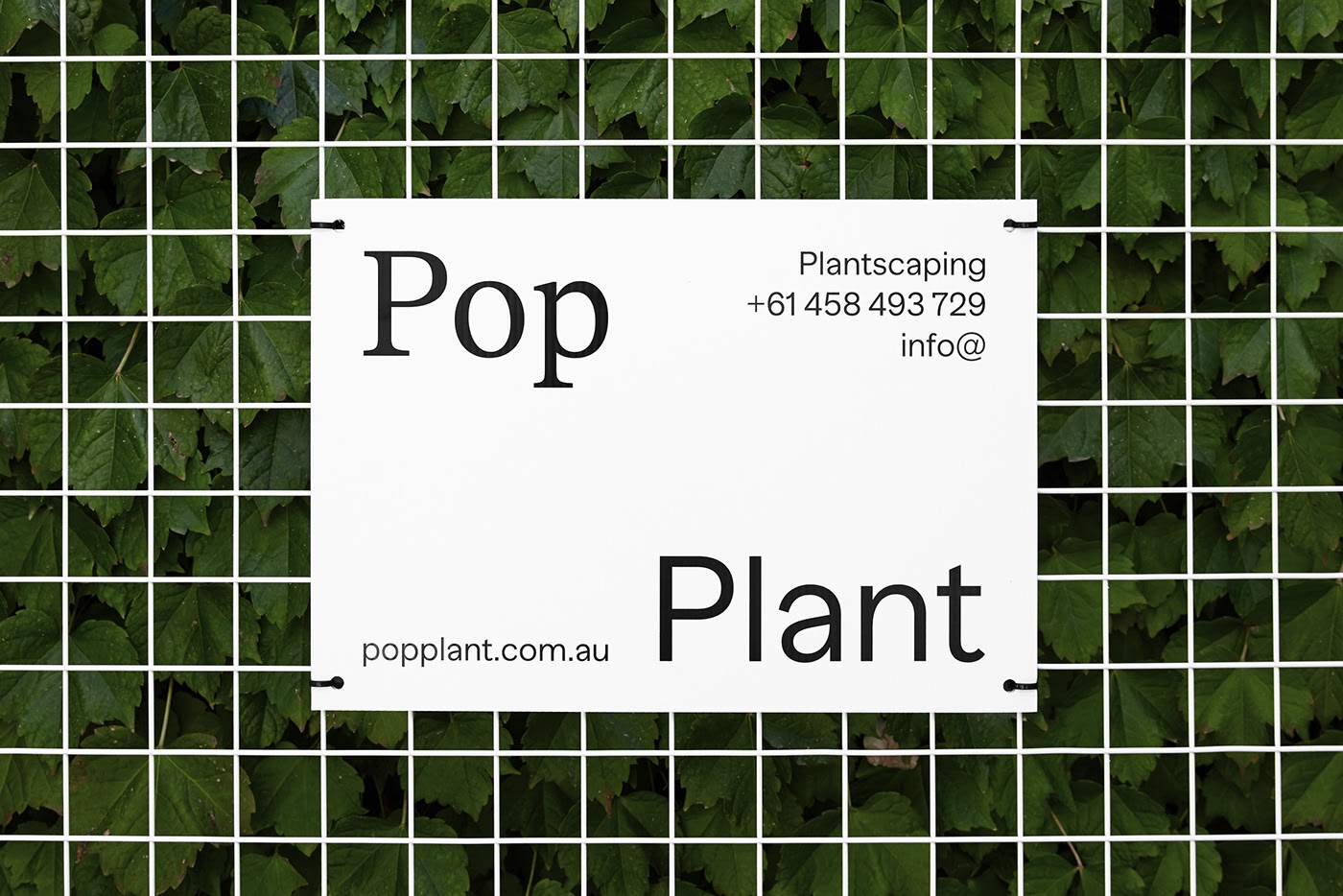 Pop Plant园林绿化公司品牌视觉设计