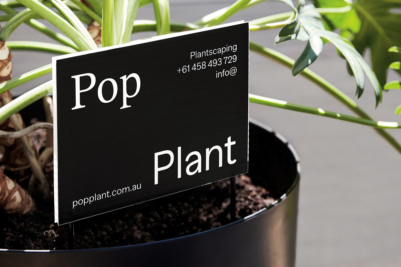 Pop Plant园林绿化公司品牌视觉设计