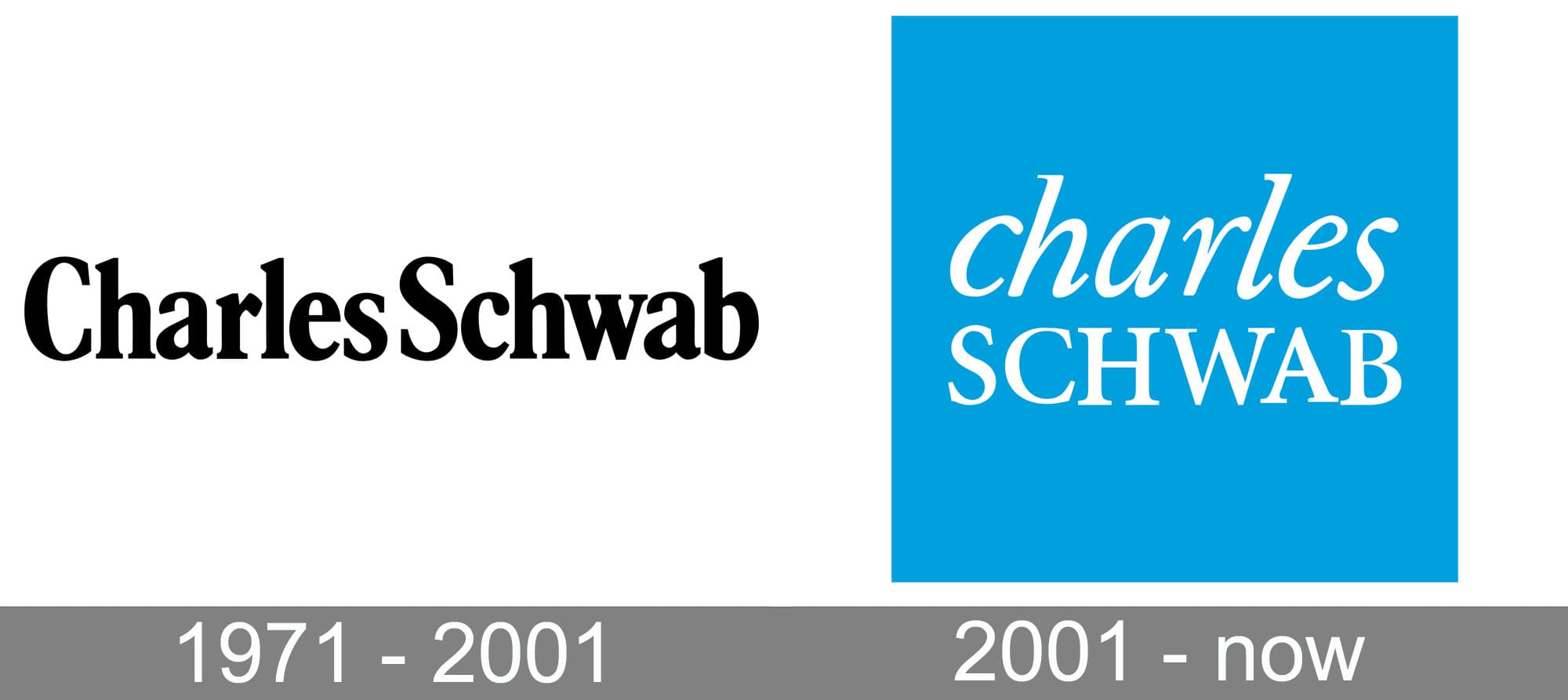 Charles Schwab Logo