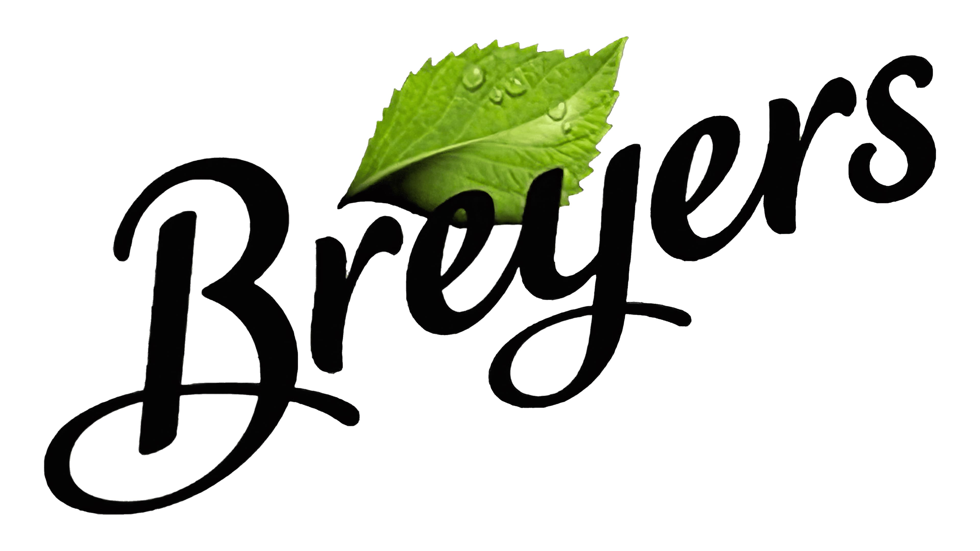 Breyer’s Logo