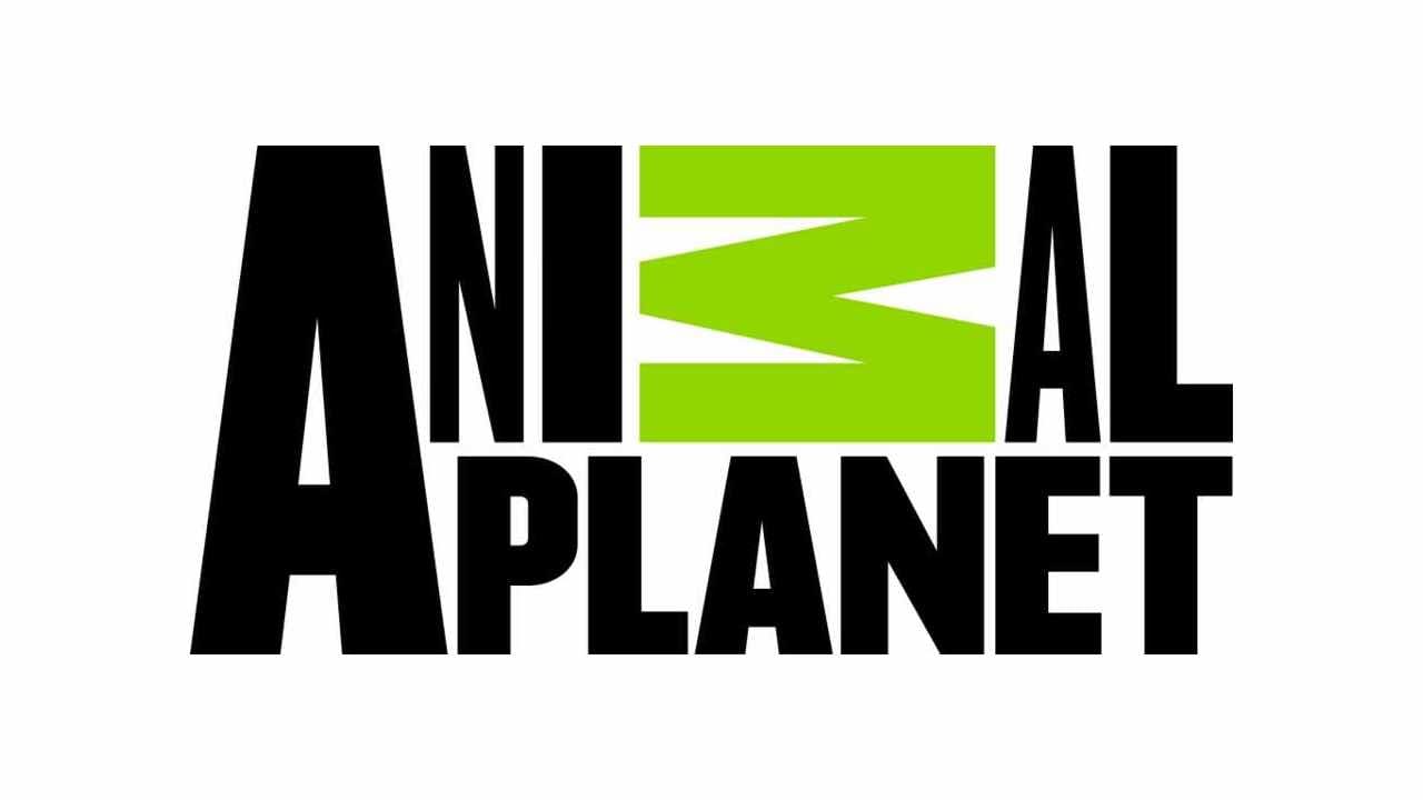 Animal Planet Logo