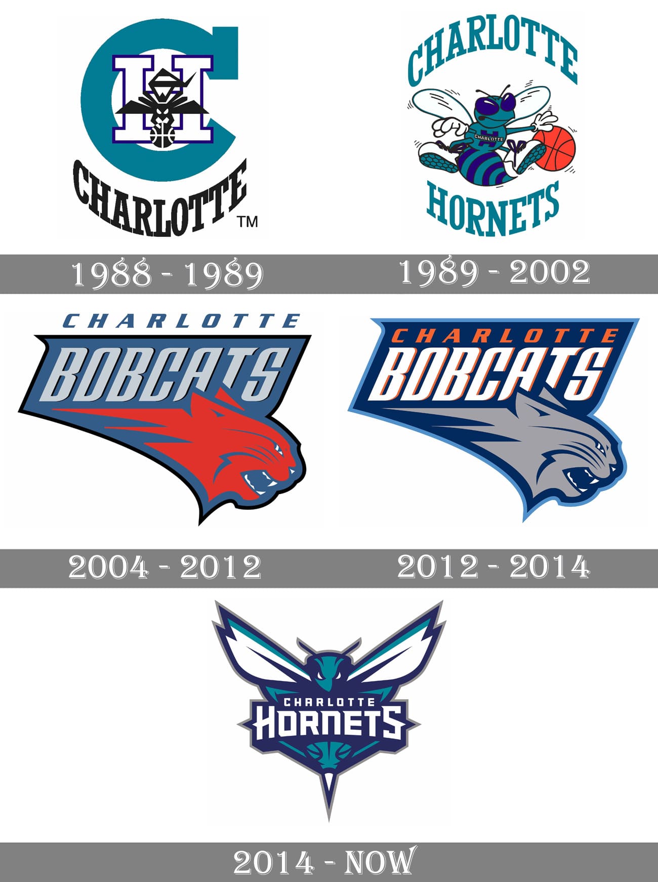 Charlotte Hornets Logo