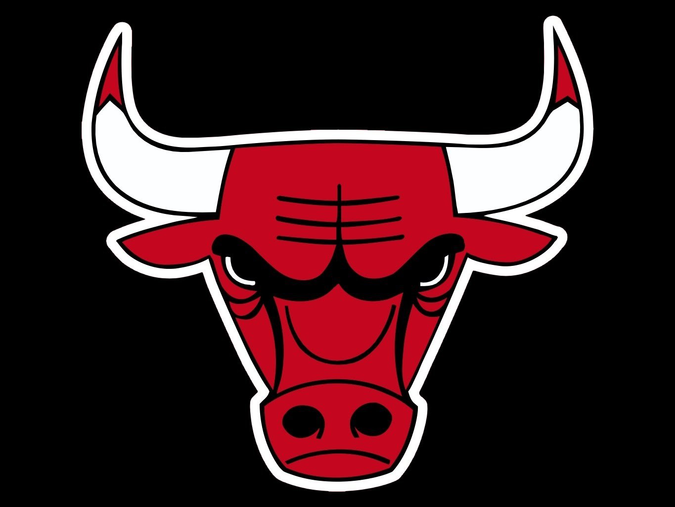 Chicago Bulls Logo