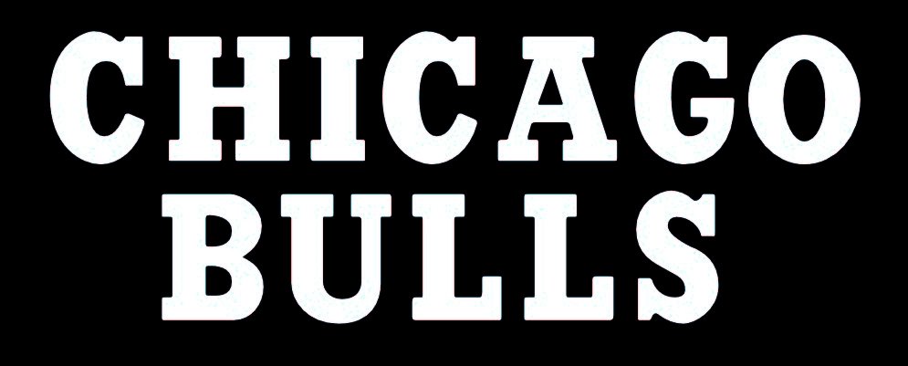 Chicago Bulls Logo