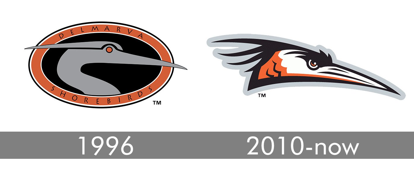 Delmarva Shorebirds Logo