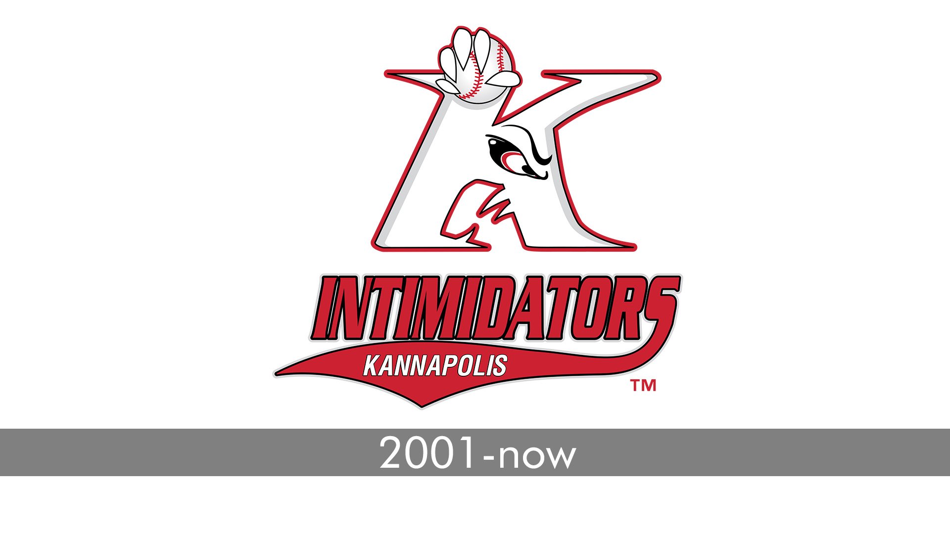 Kannapolis Intimidators Logo