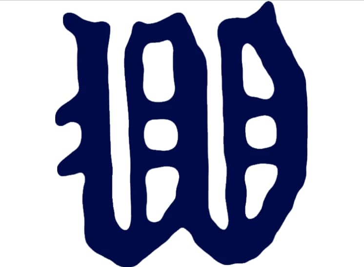 Minnesota Twins Logo