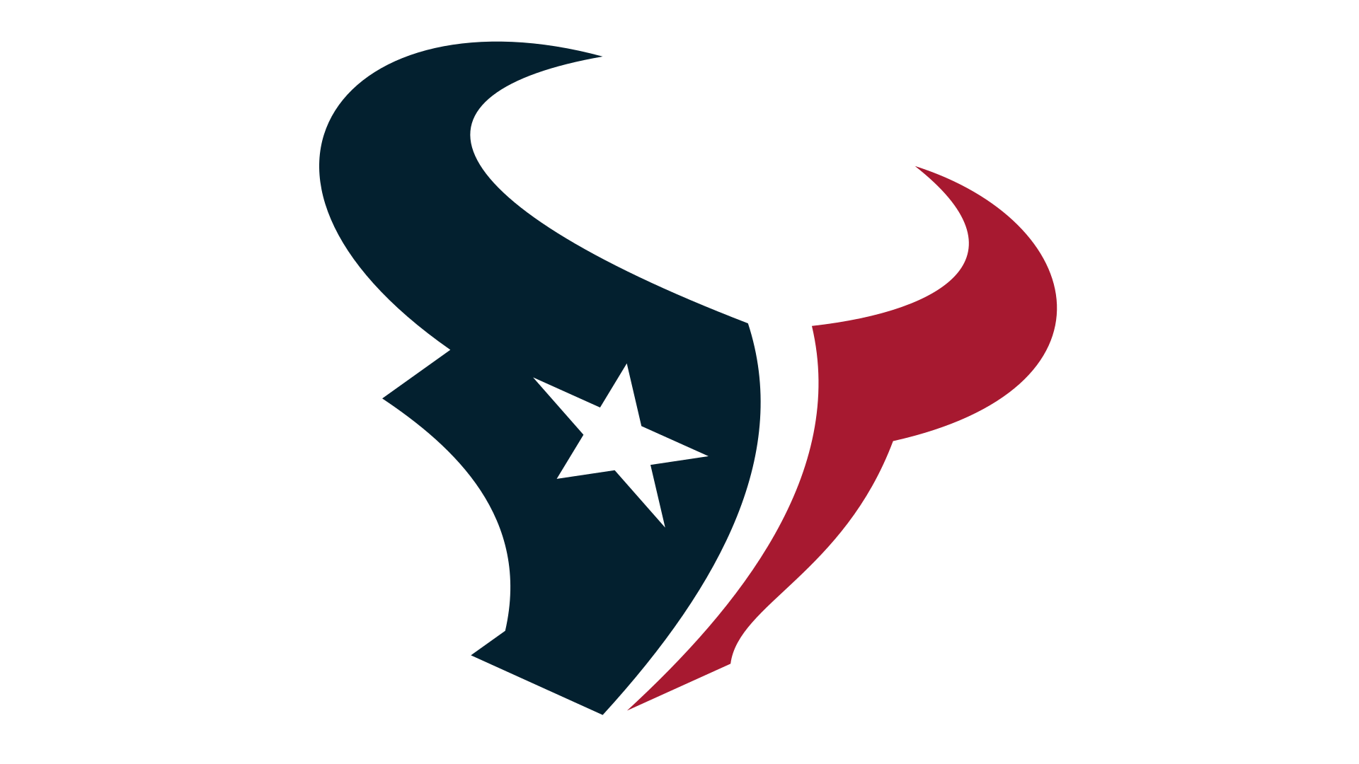 Houston Texans Logo