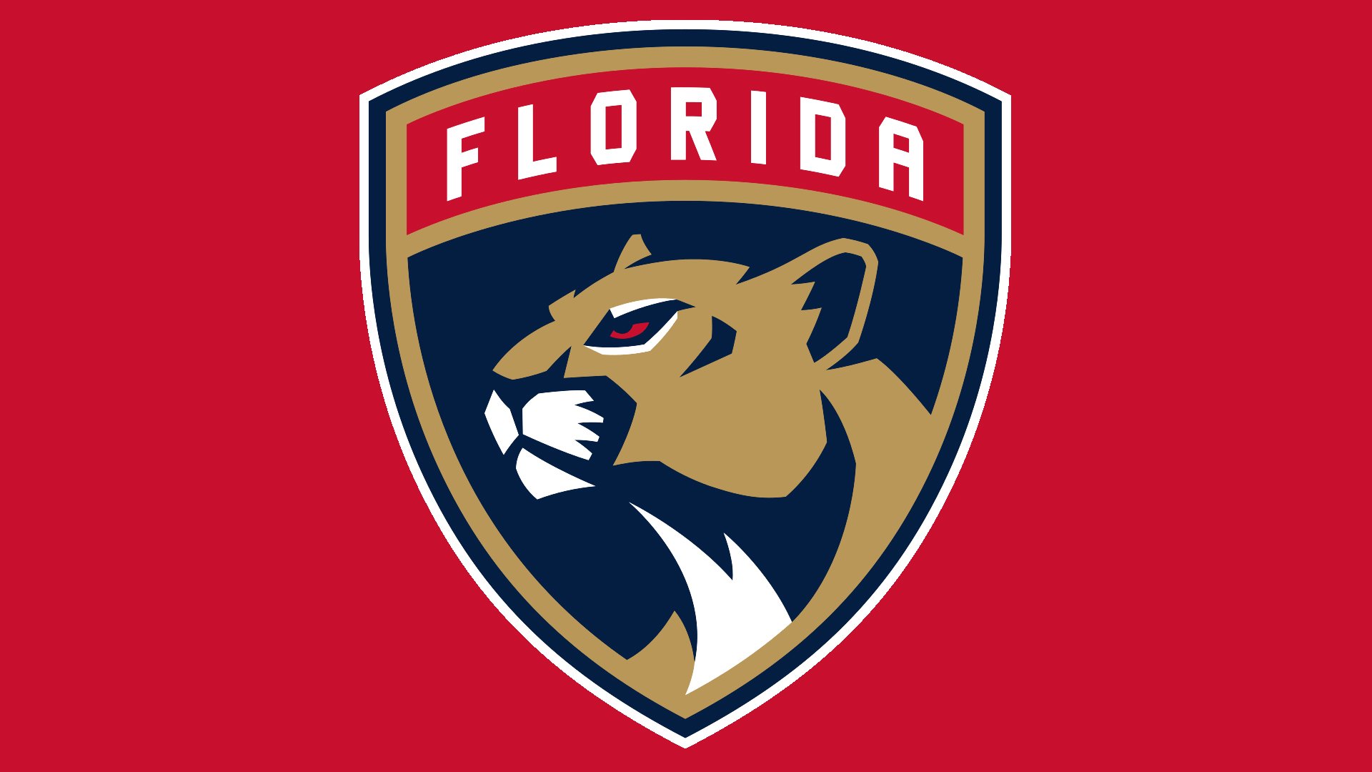 Florida Panthers Logo