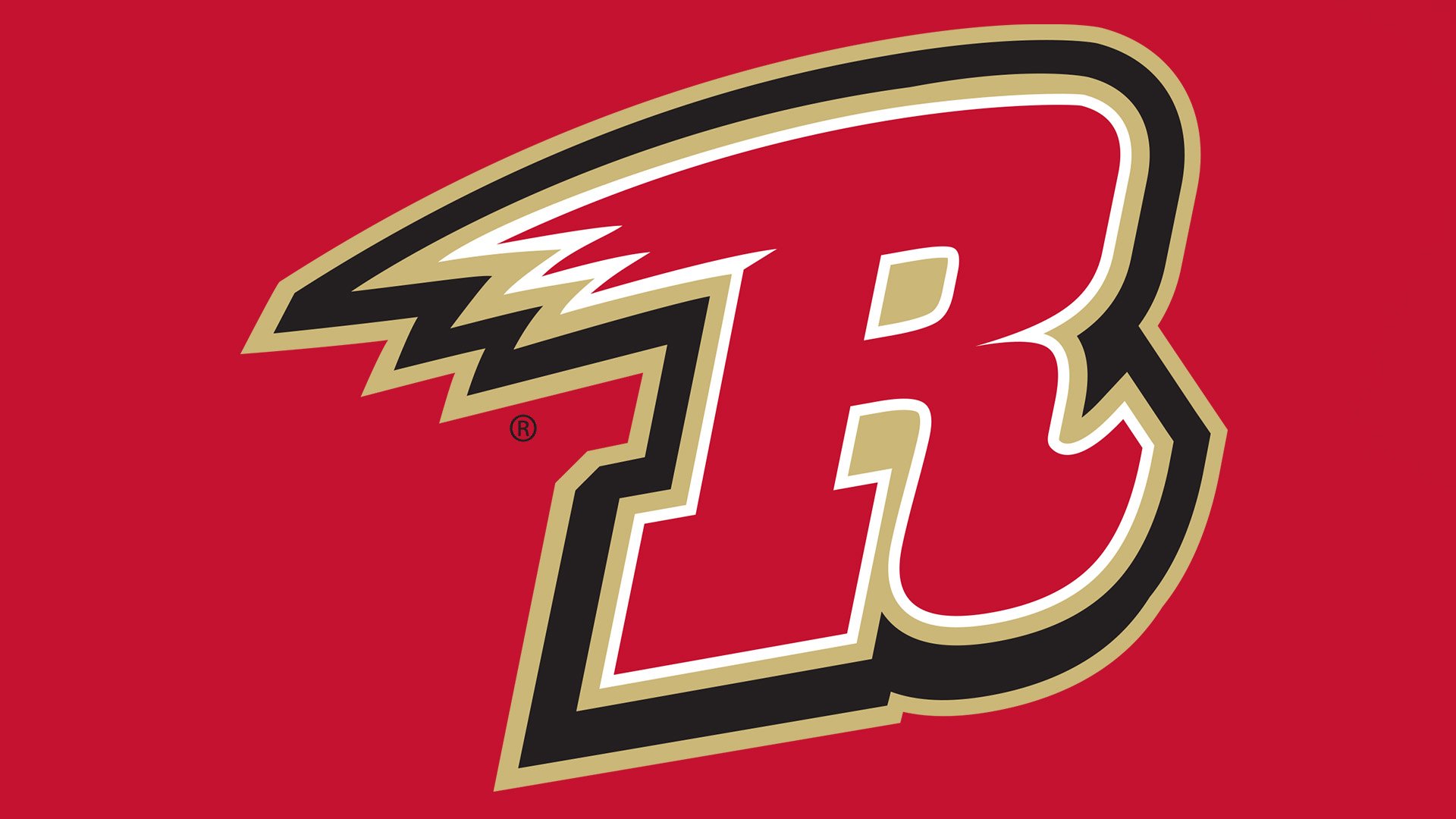 Rapid City Rush Logo