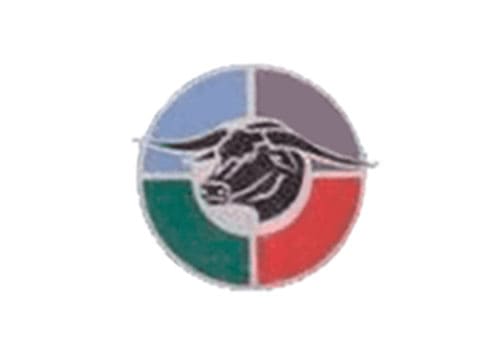 Bulls Logo