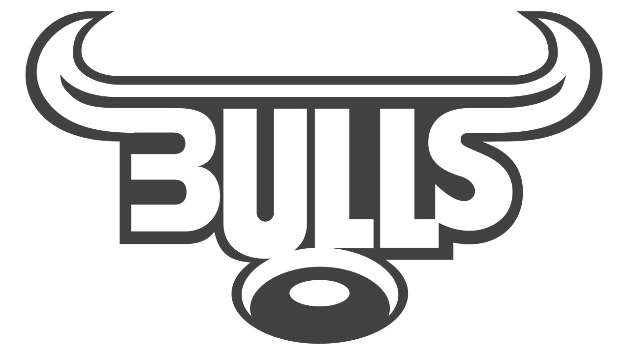 Bulls Logo