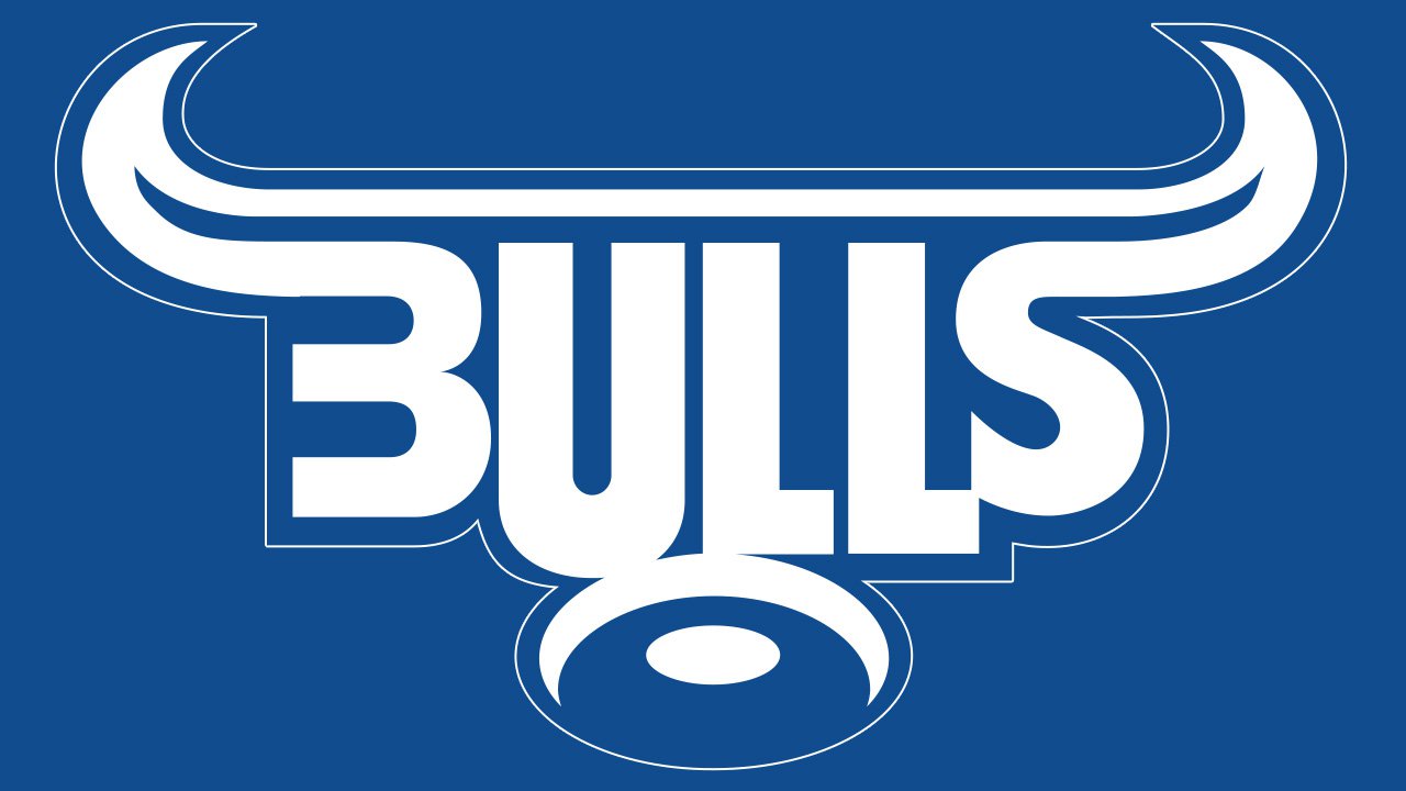 Bulls Logo