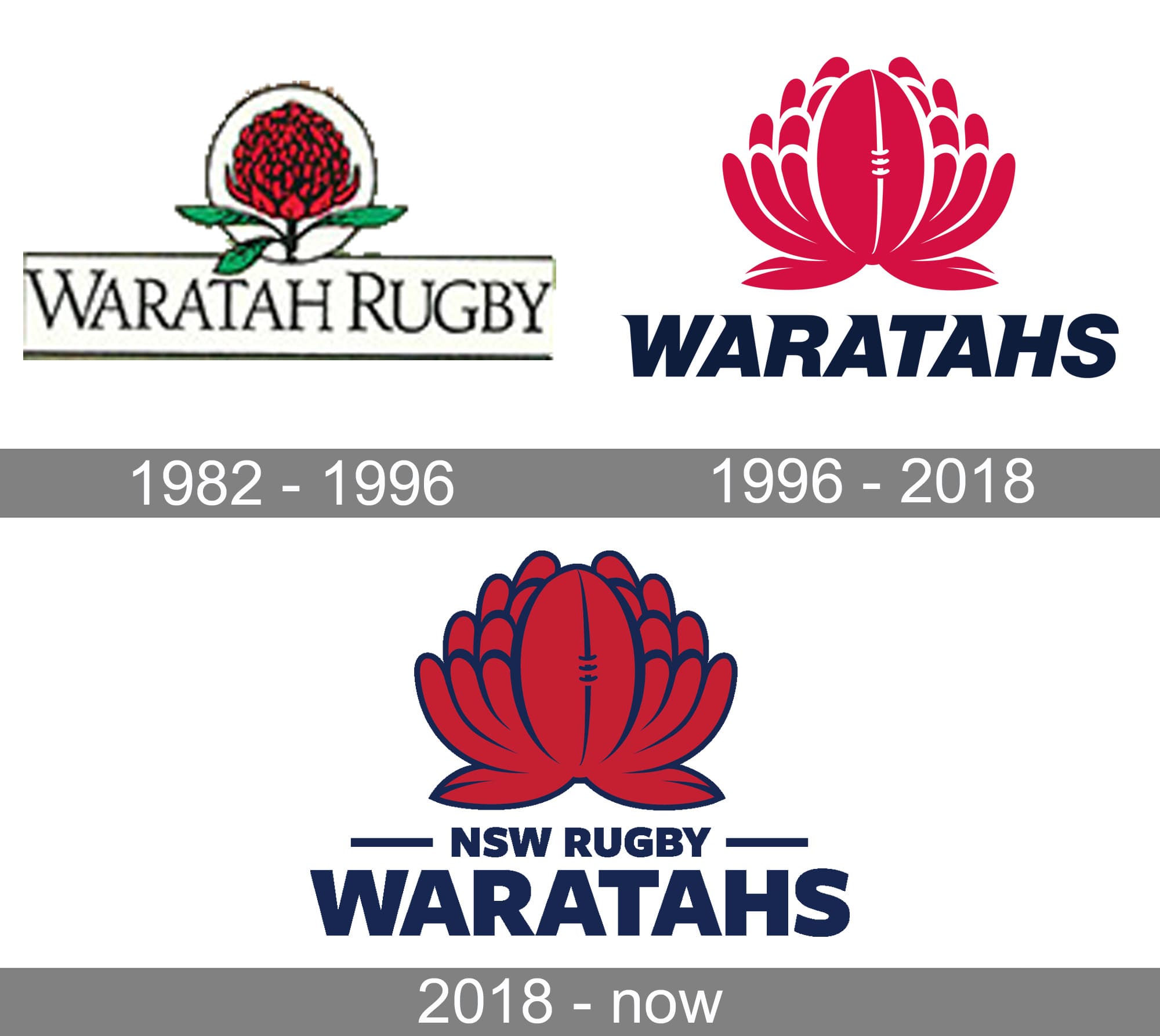 New South Wales Waratahs Logo