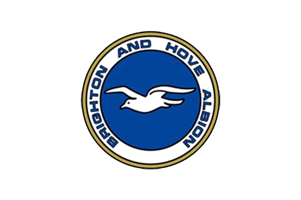 Brighton & Hove Albion Logo