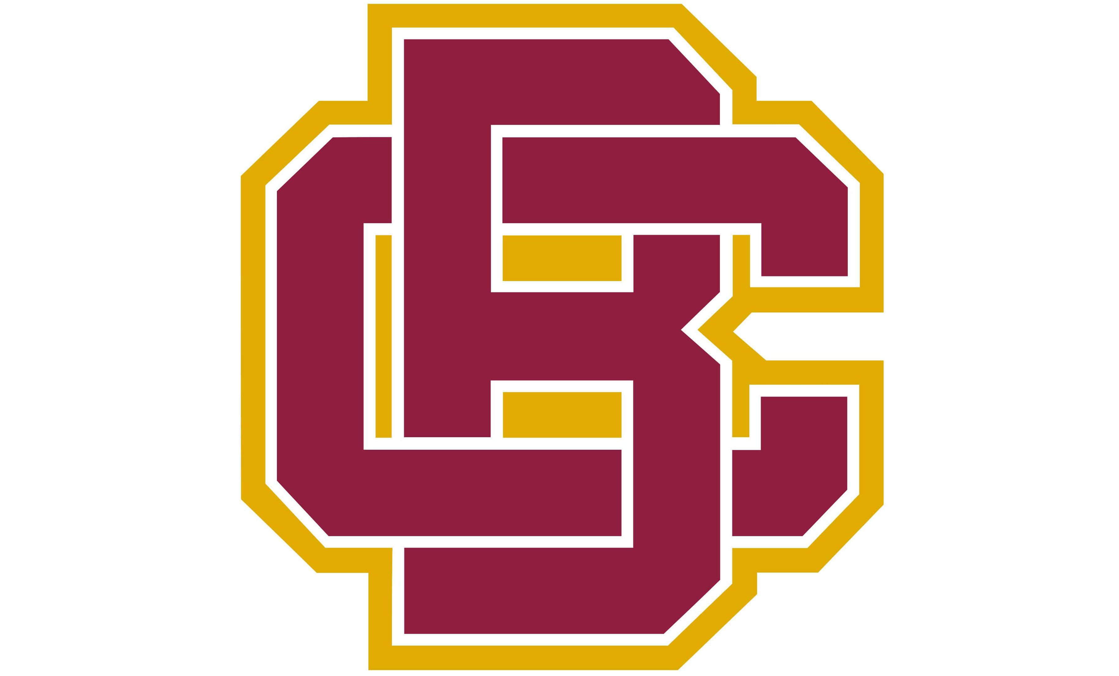 Bethune-Cookman Wildcats Logo