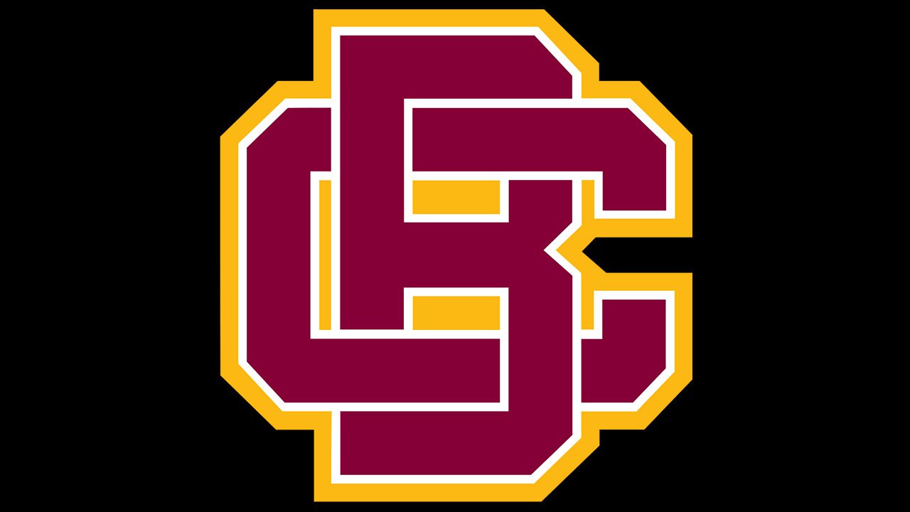 Bethune-Cookman Wildcats Logo