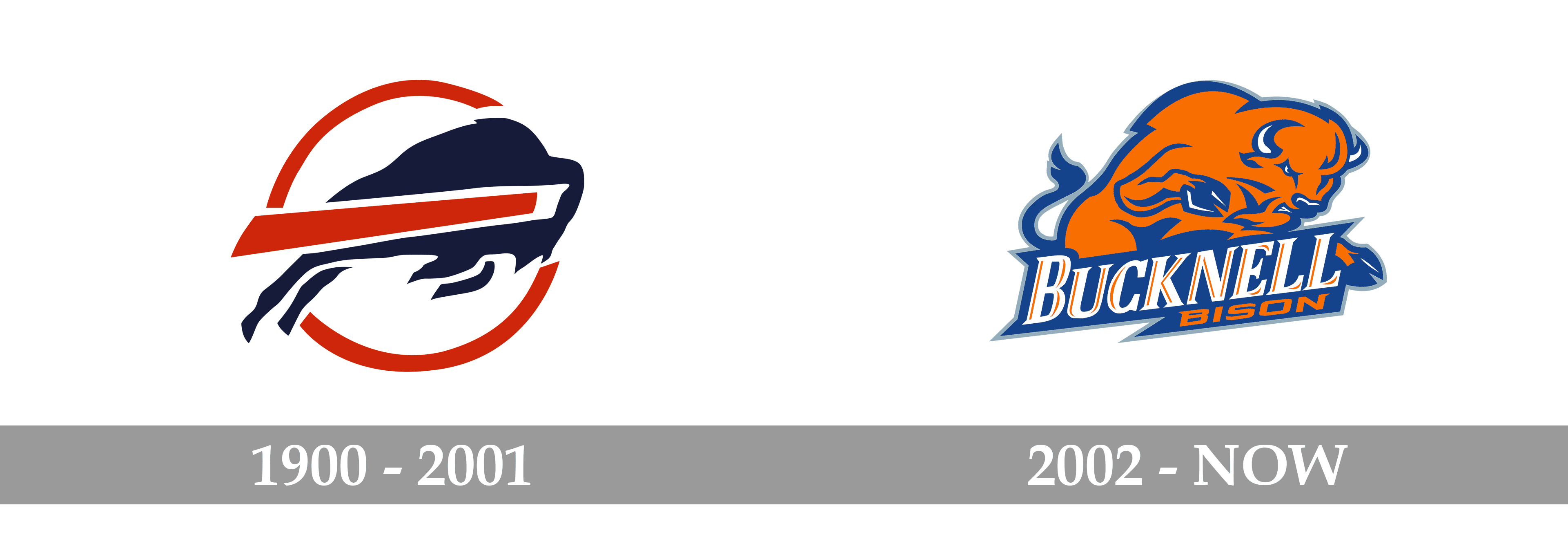 Bucknell Bison Logo