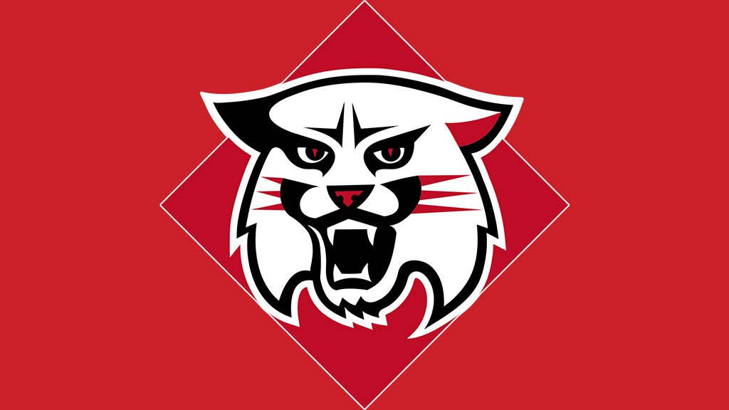 Davidson Wildcats Logo