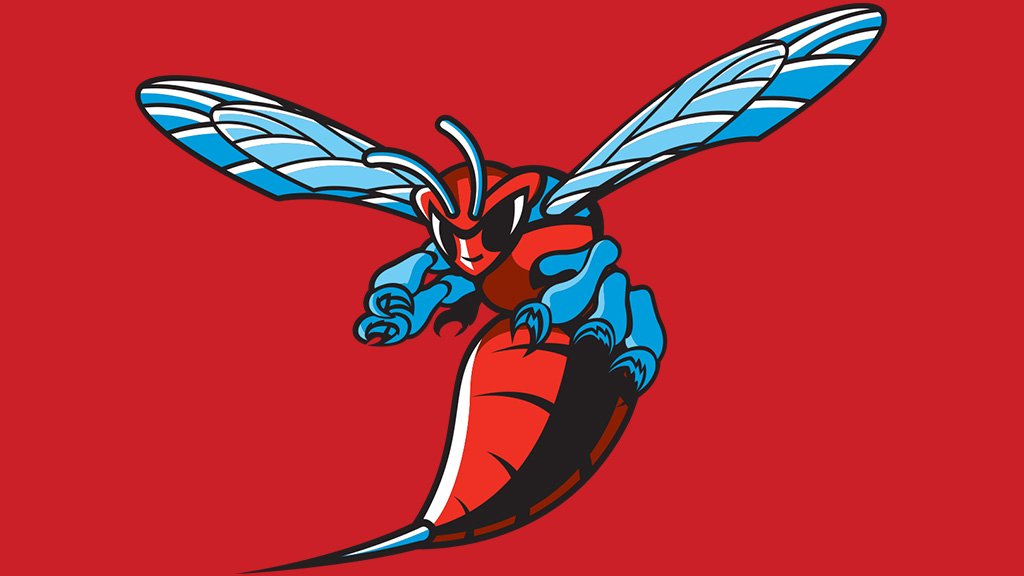 Delaware State Hornets Logo