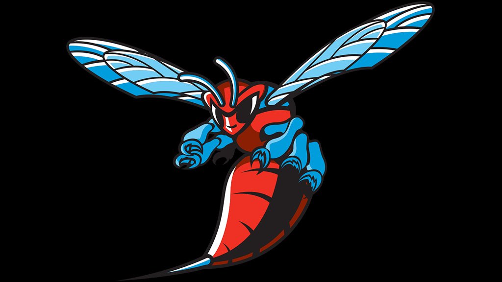 Delaware State Hornets Logo