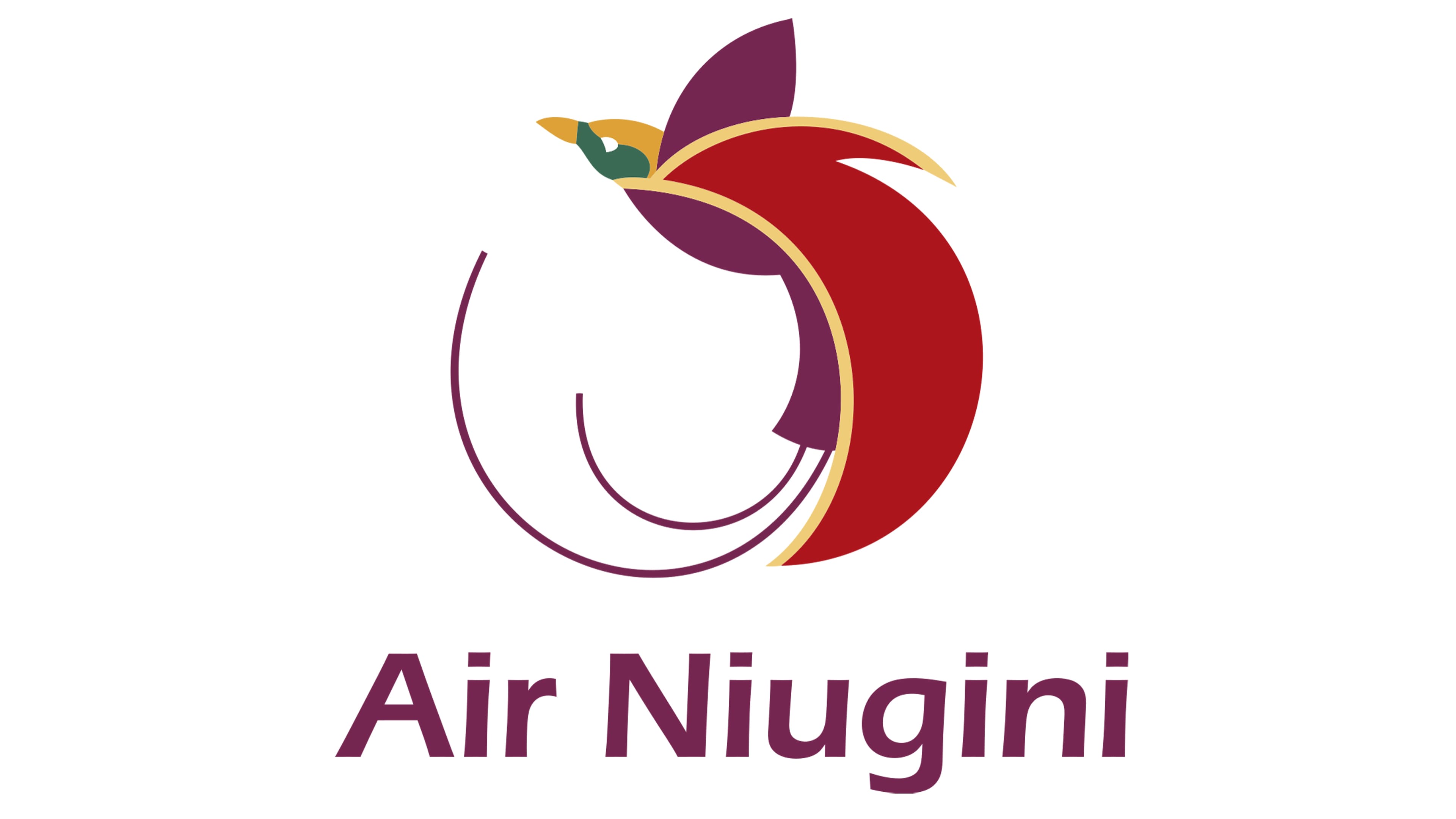 Air Niugini Logo