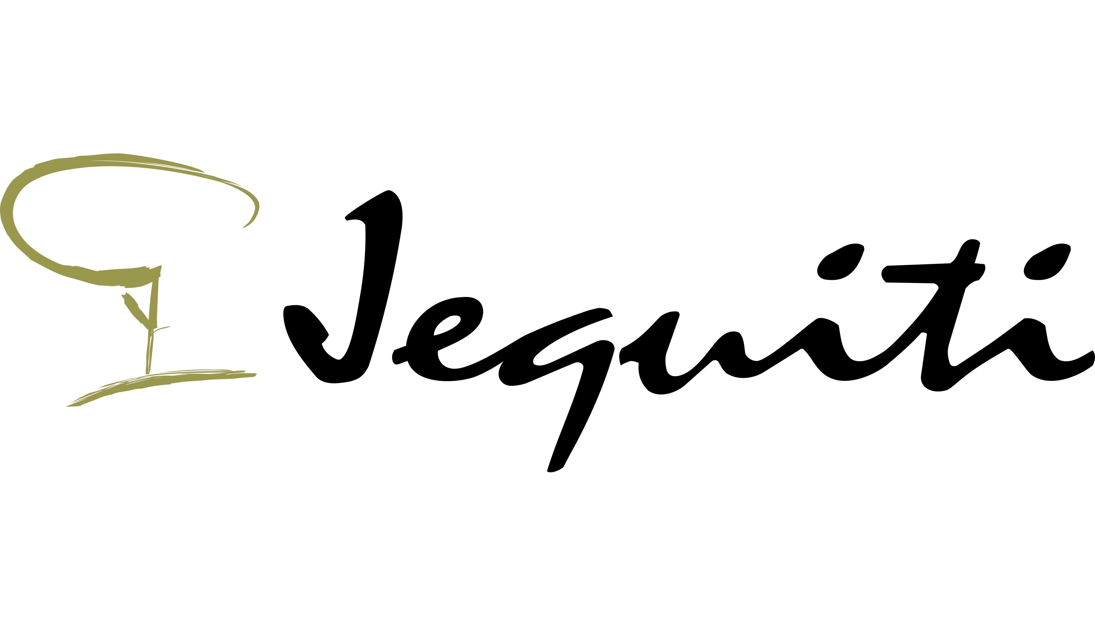 Jequiti Logo