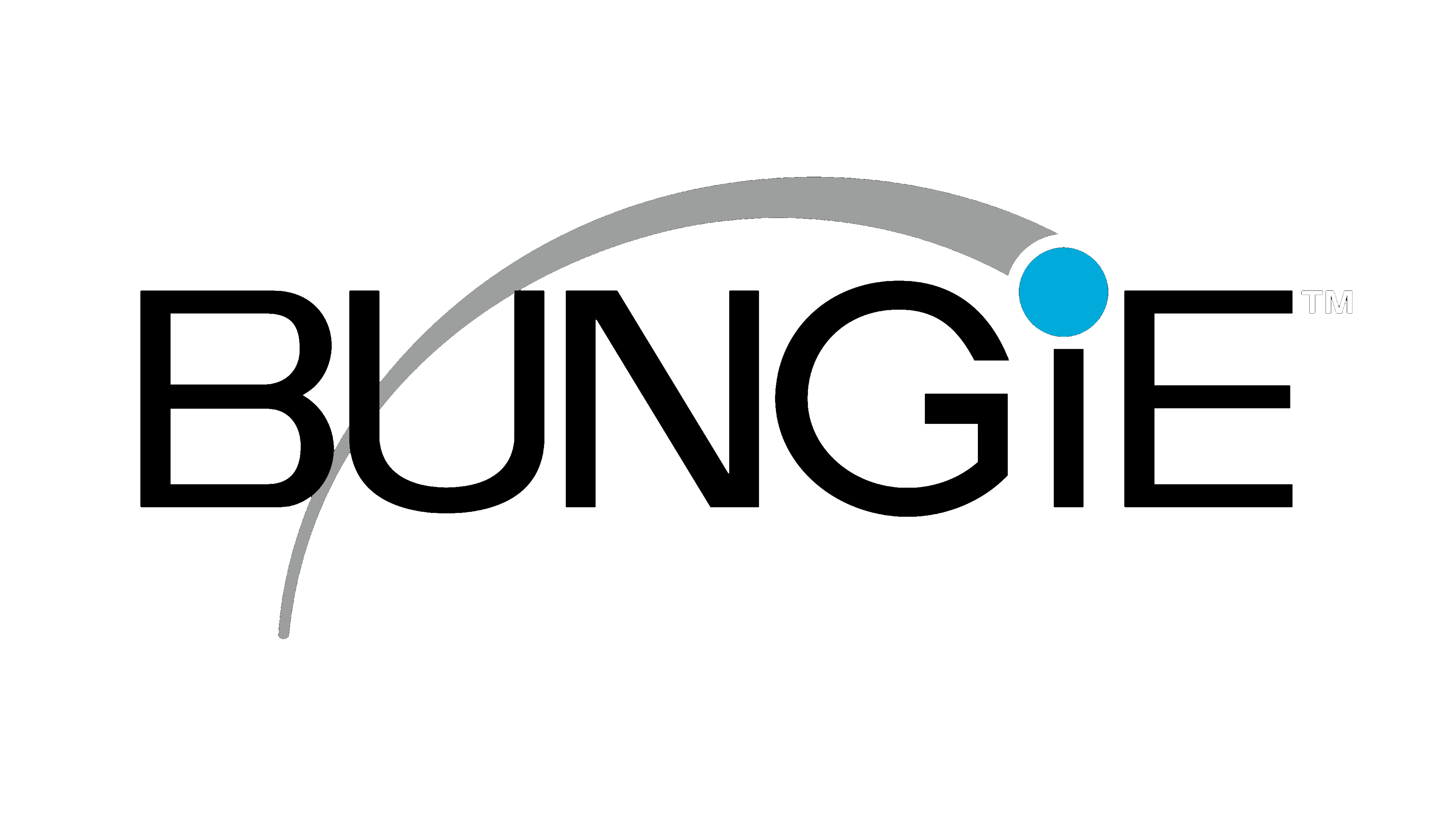 Bungie Logo