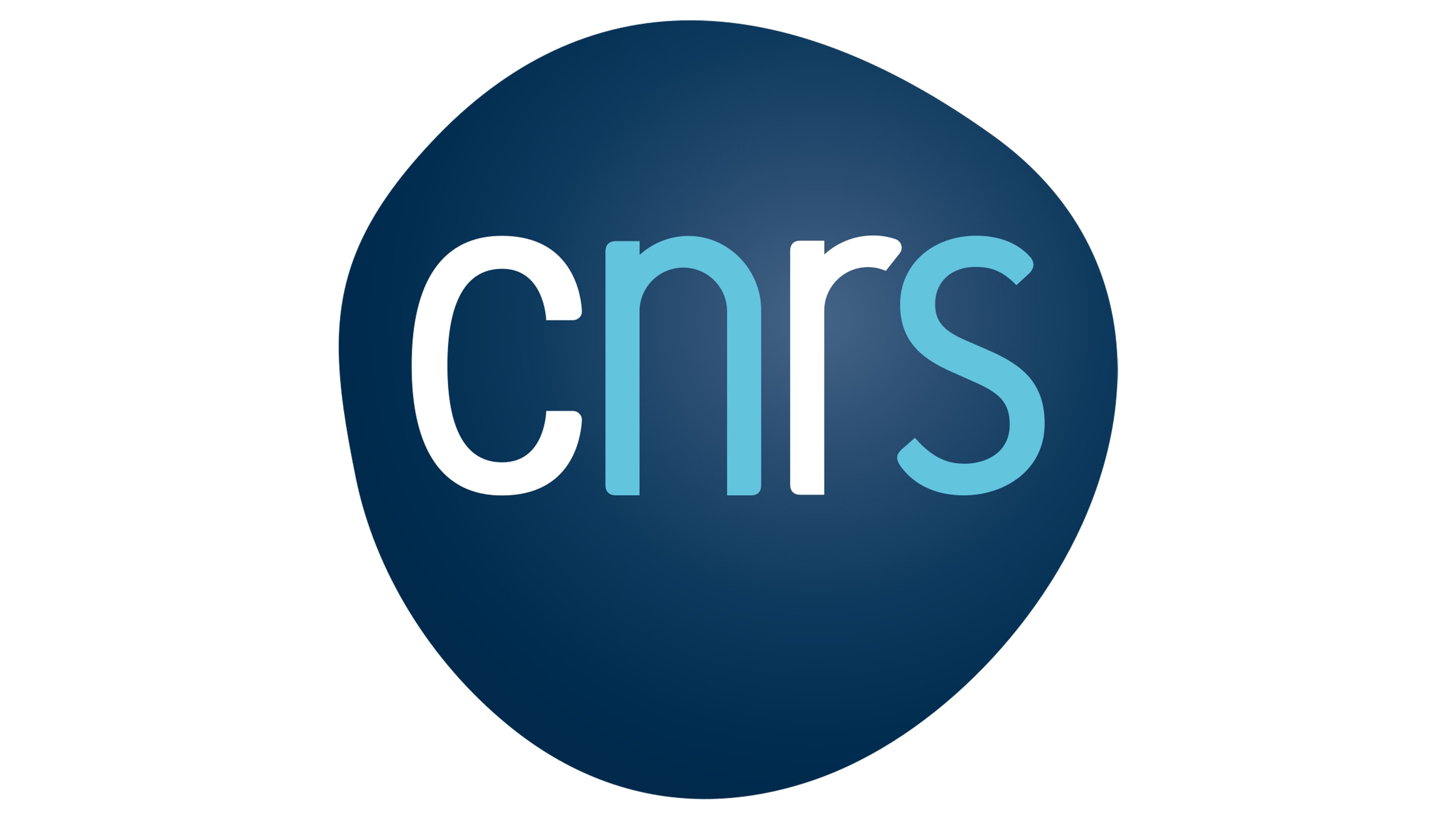 CNRS Logo