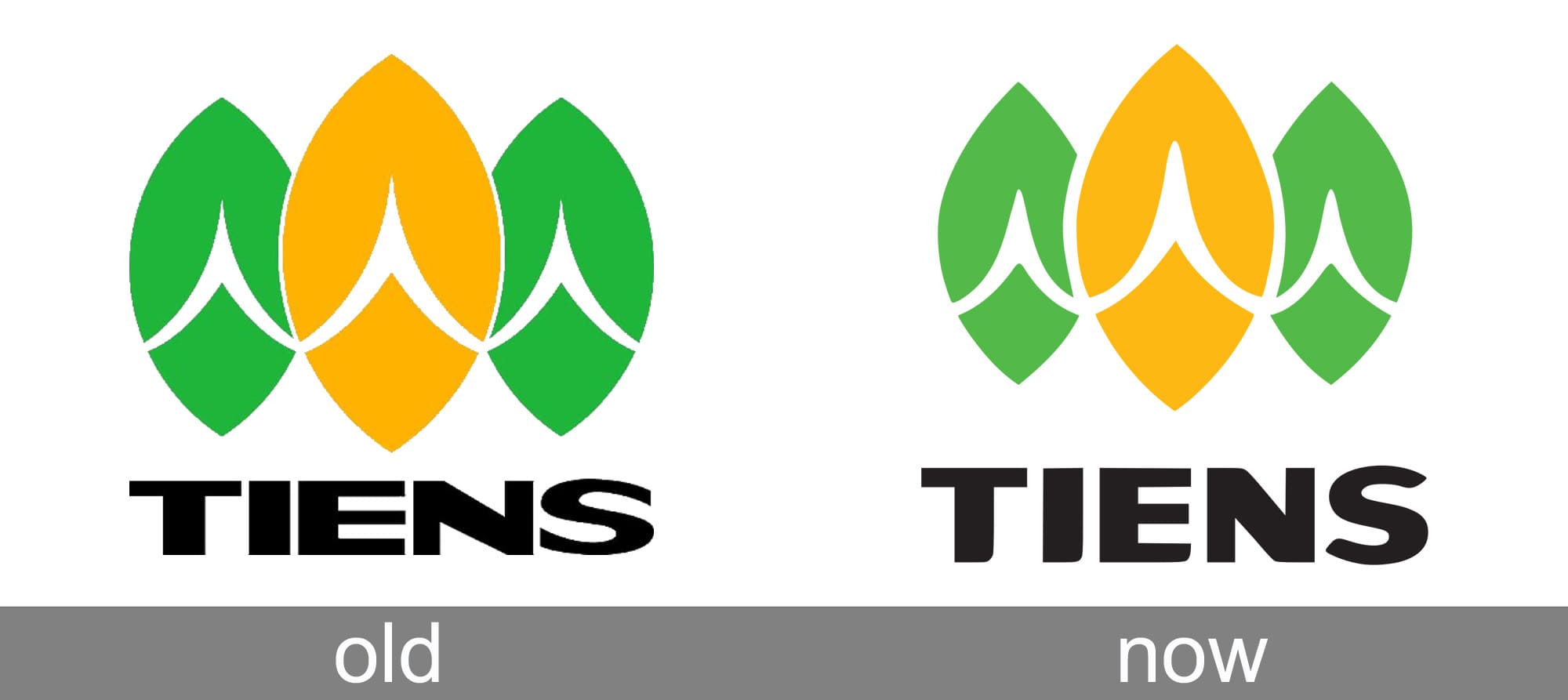 Tiens Logo