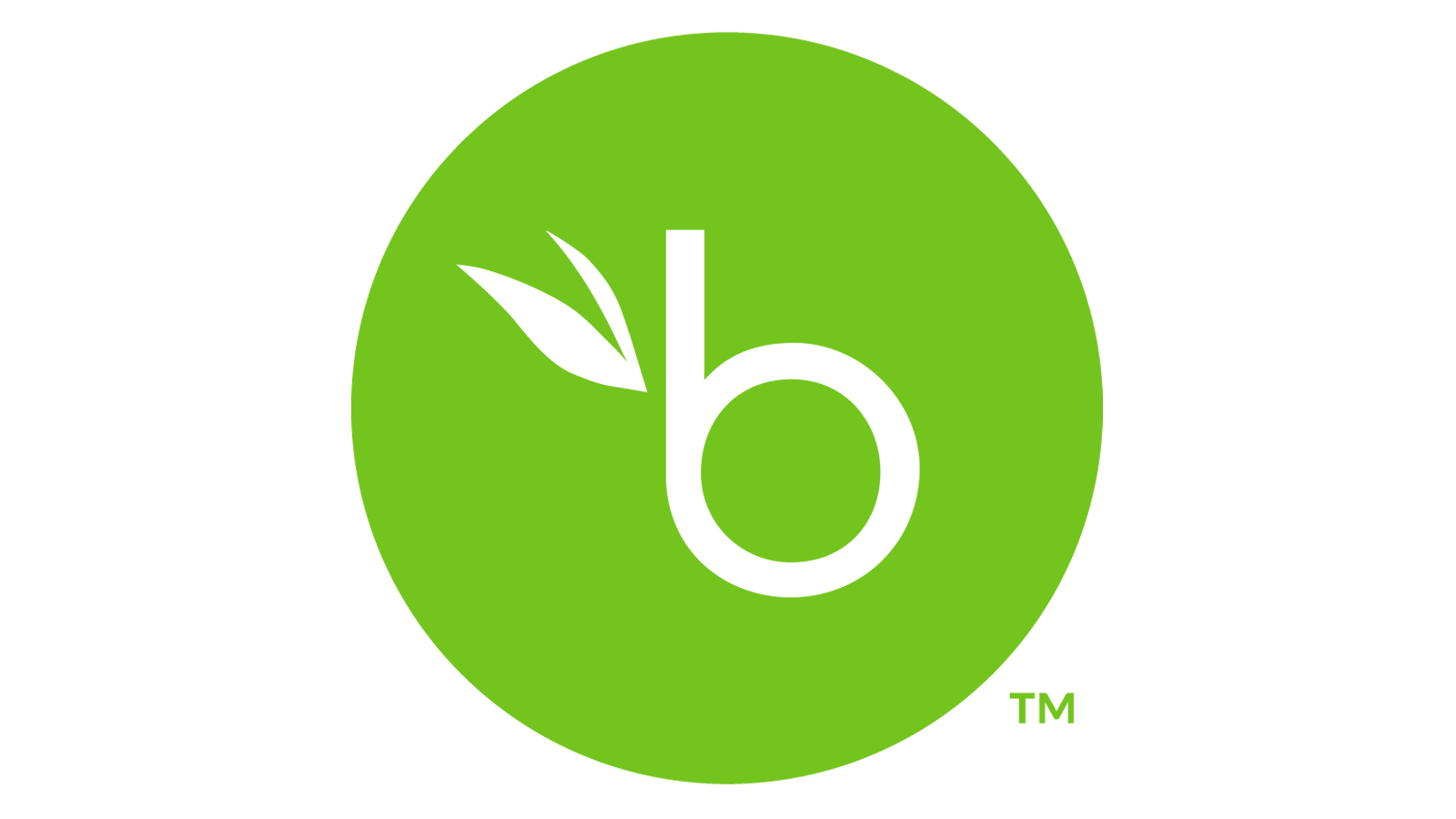 BambooHR Logo